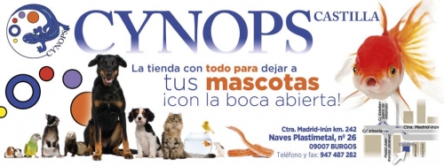 Dónde Estamos