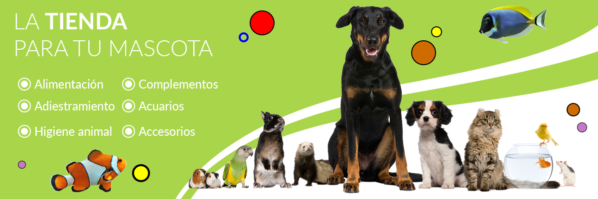 Título de la foto 1